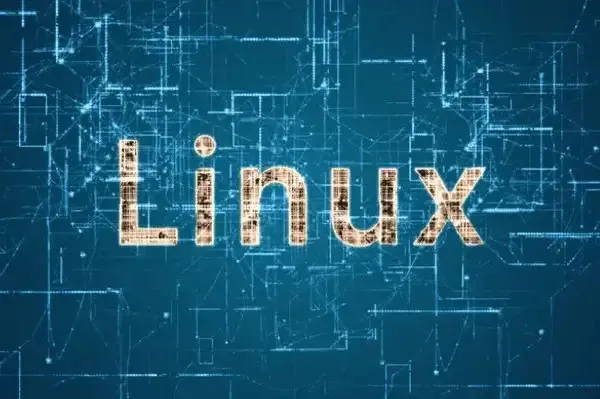 linux server casino